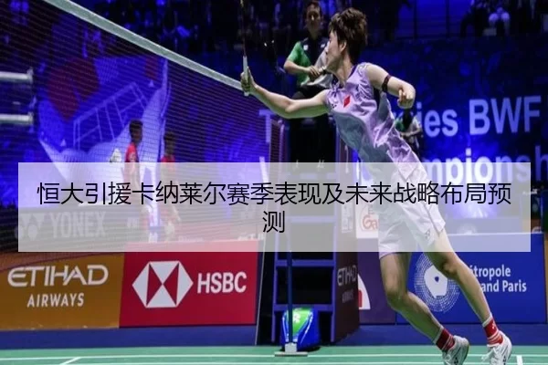 恒大引援卡纳莱尔赛季表现及未来战略布局预测